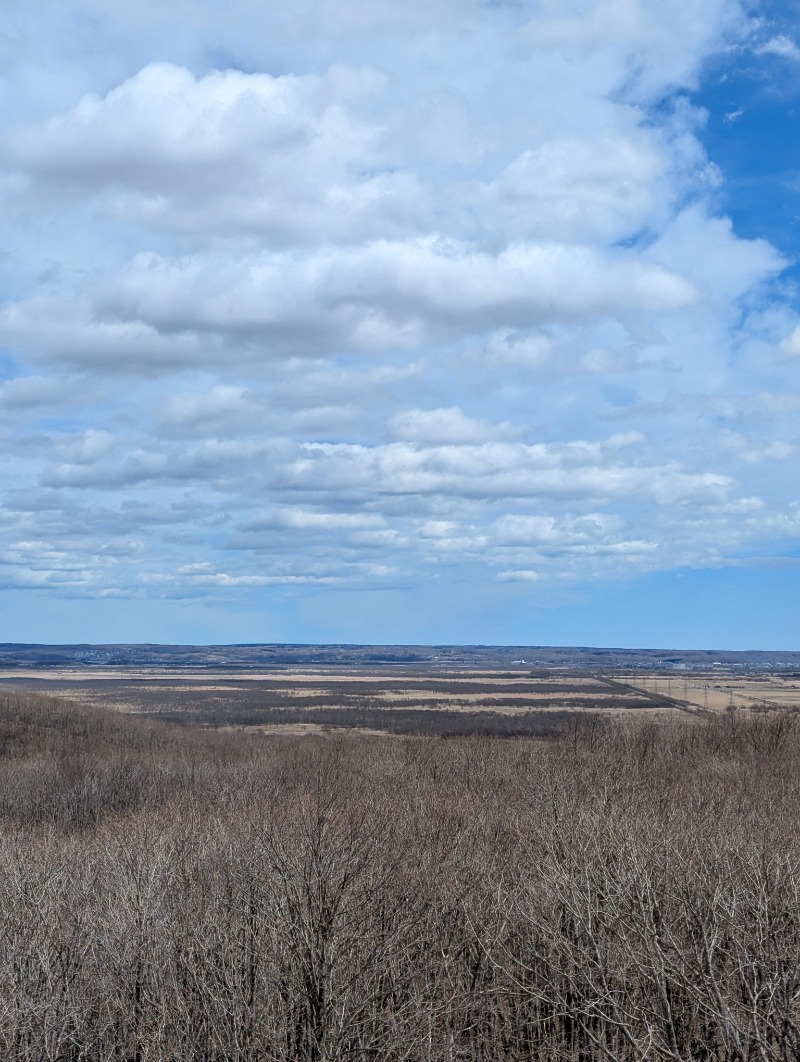 ごとうのおっさんさんの丹頂湯のサ活写真