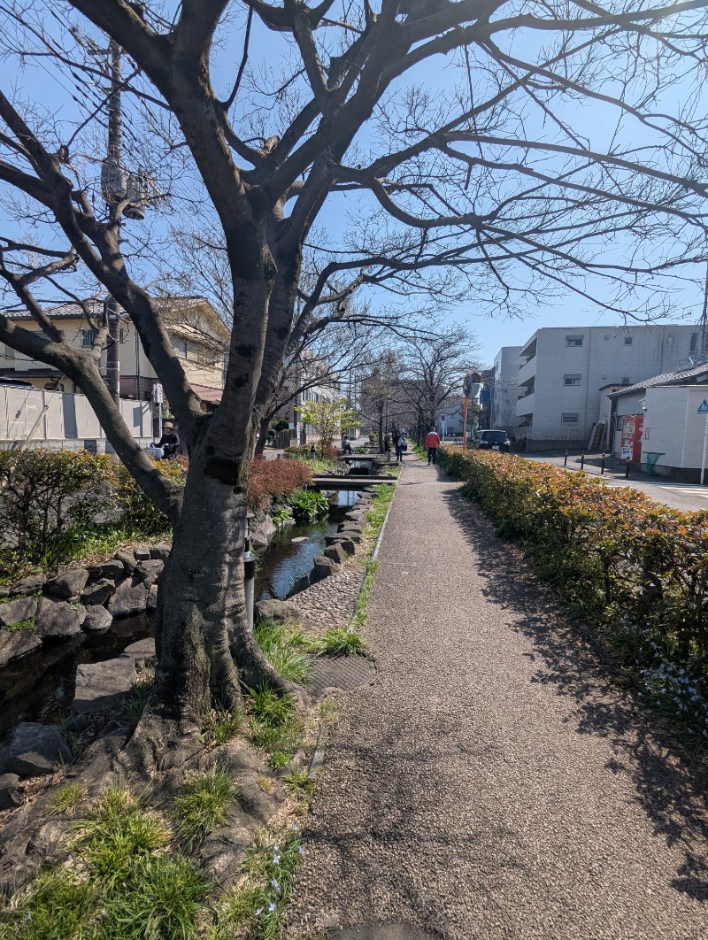 ごとうのおっさんさんの鈴の湯のサ活写真