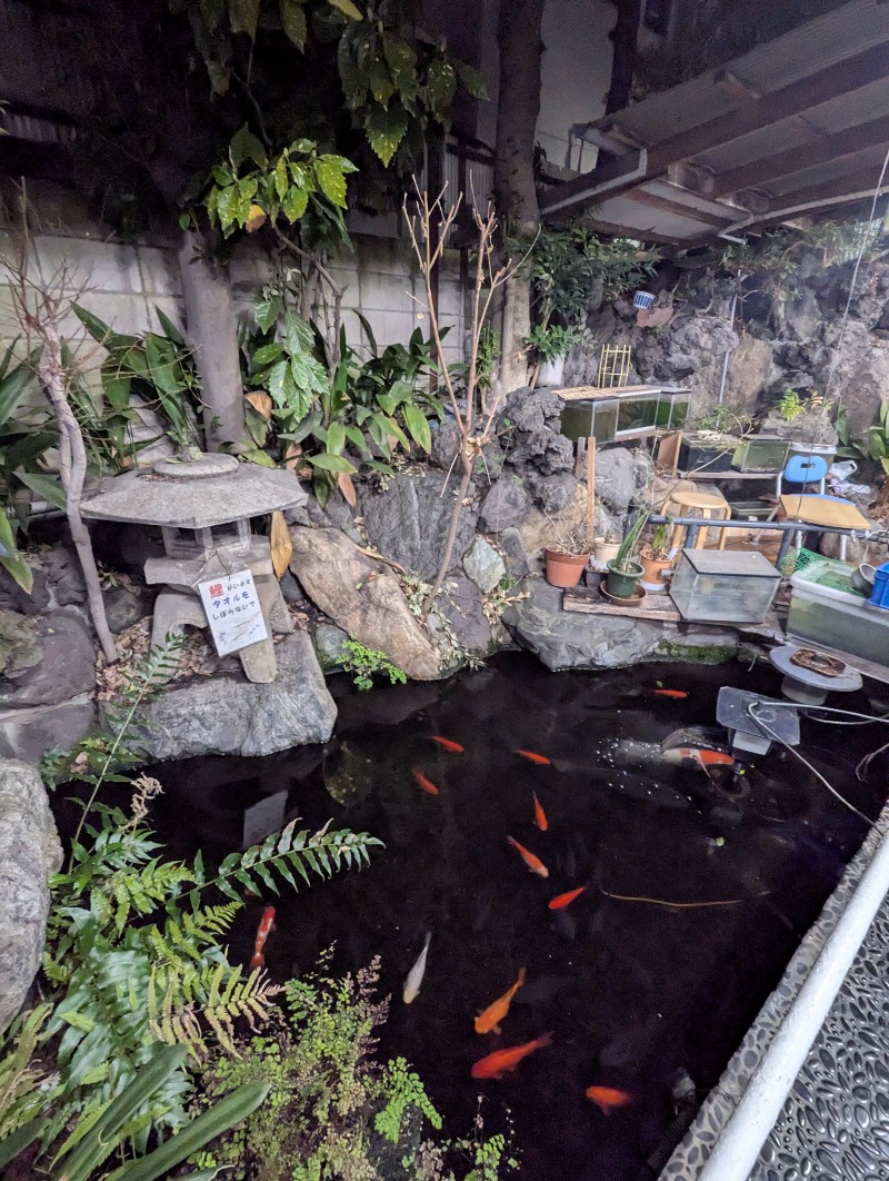 ごとうのおっさんさんのさくら湯のサ活写真