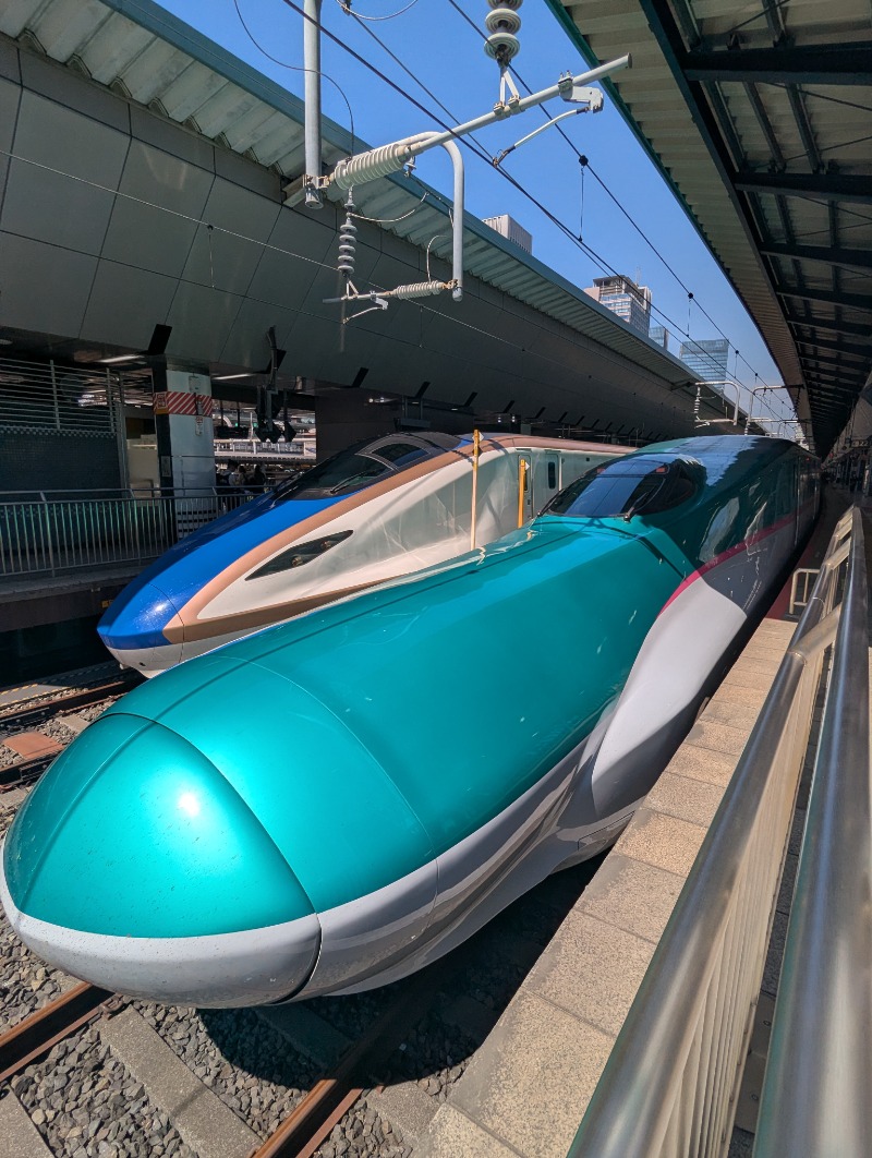 ごとうのおっさんさんのスパメッツァ 仙台 竜泉寺の湯のサ活写真