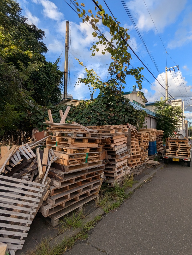 ごとうのおっさんさんの藤の湯のサ活写真