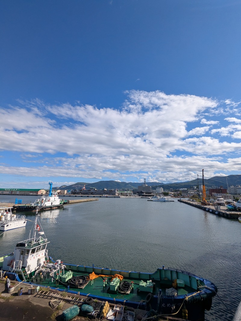 ごとうのおっさんさんの大正湯のサ活写真