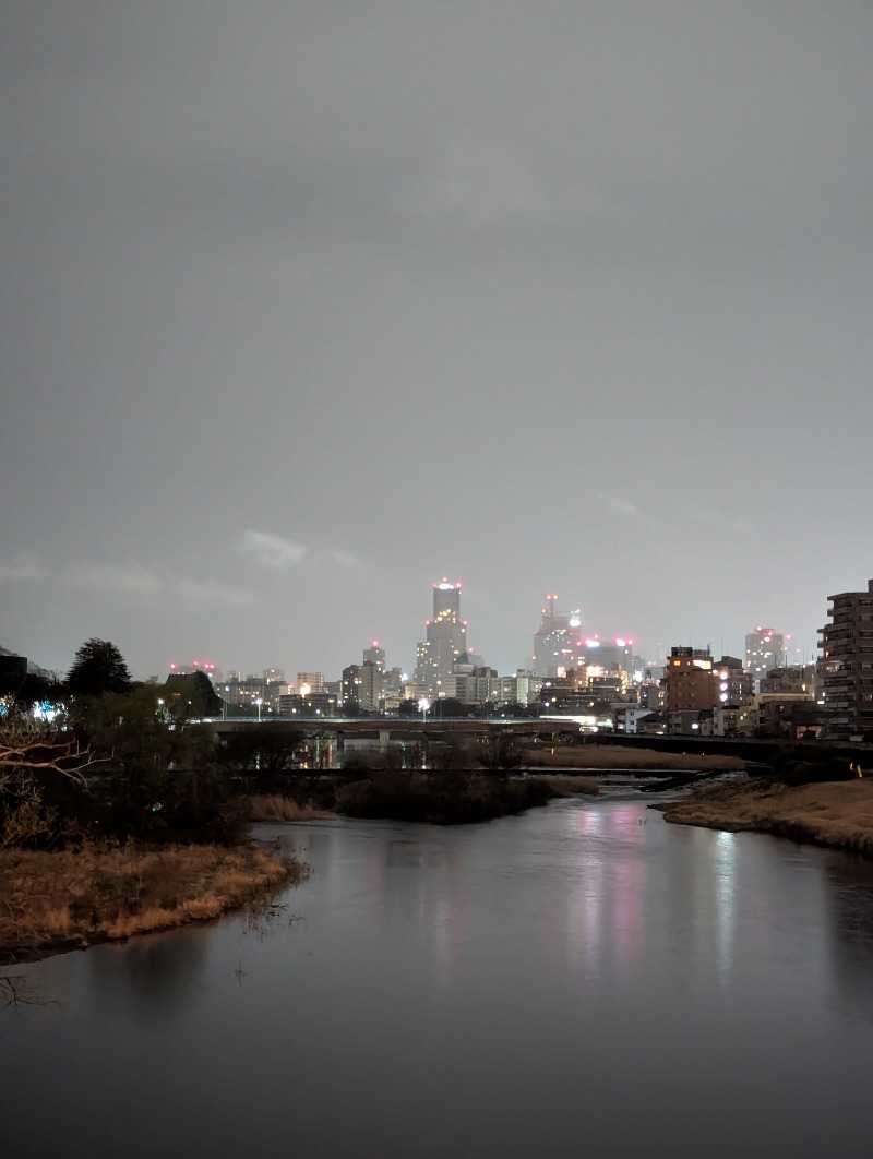 ごとうのおっさんさんの鶴の湯のサ活写真