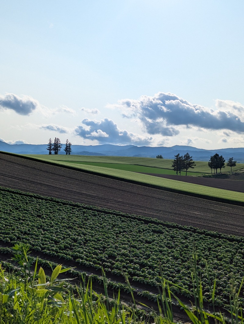 ごとうのおっさんさんの吹上温泉保養センター 白銀荘のサ活写真