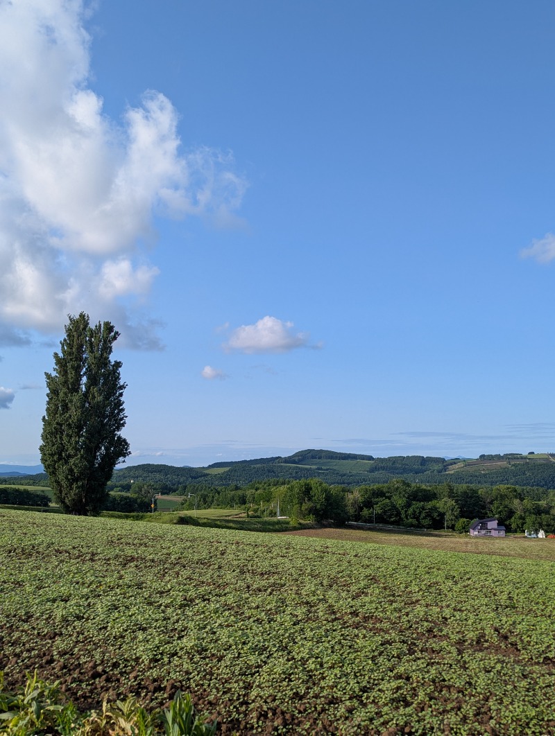 ごとうのおっさんさんの吹上温泉保養センター 白銀荘のサ活写真