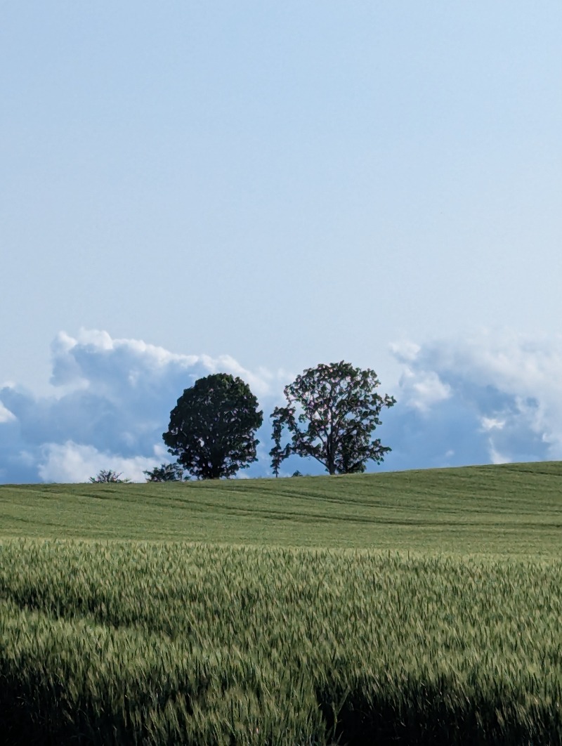 ごとうのおっさんさんの吹上温泉保養センター 白銀荘のサ活写真