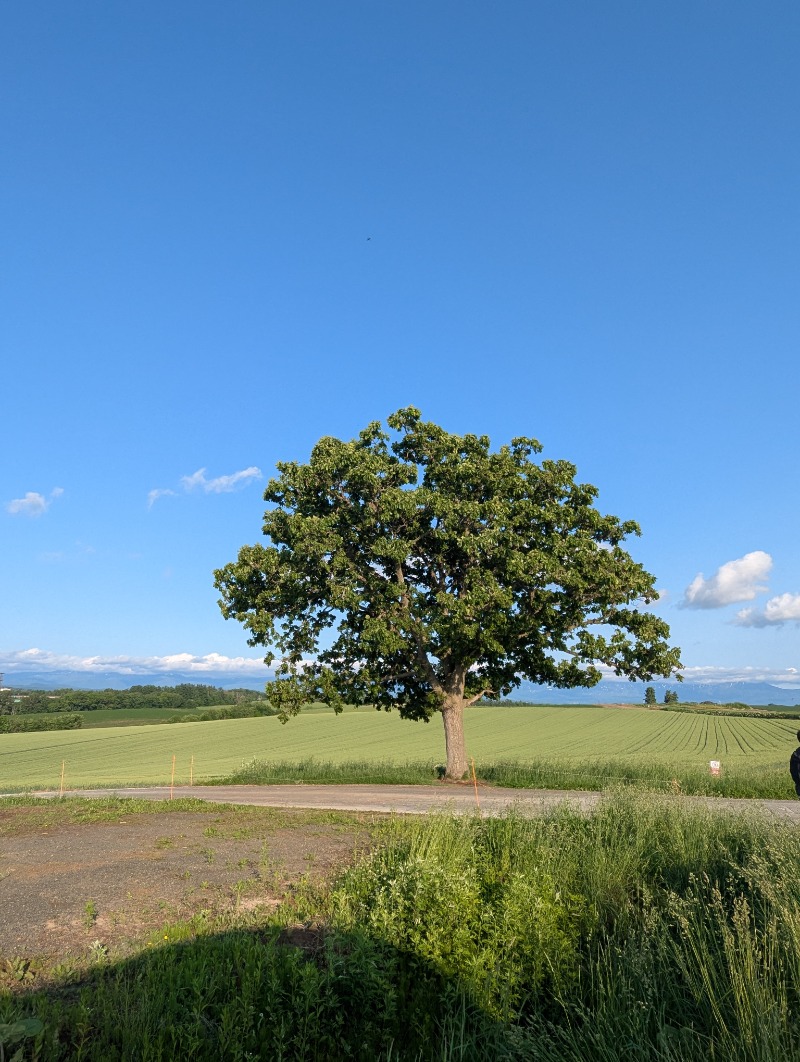 ごとうのおっさんさんの吹上温泉保養センター 白銀荘のサ活写真
