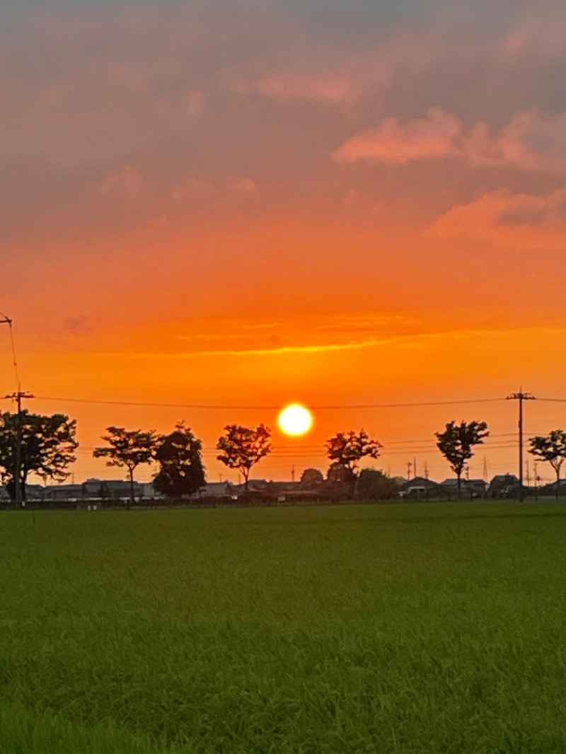 弟子さんの源泉掛け流し しあわせの湯のサ活写真