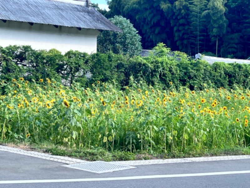 みつおさんのスノーピーク鹿沼キャンプフィールド&スパのサ活写真