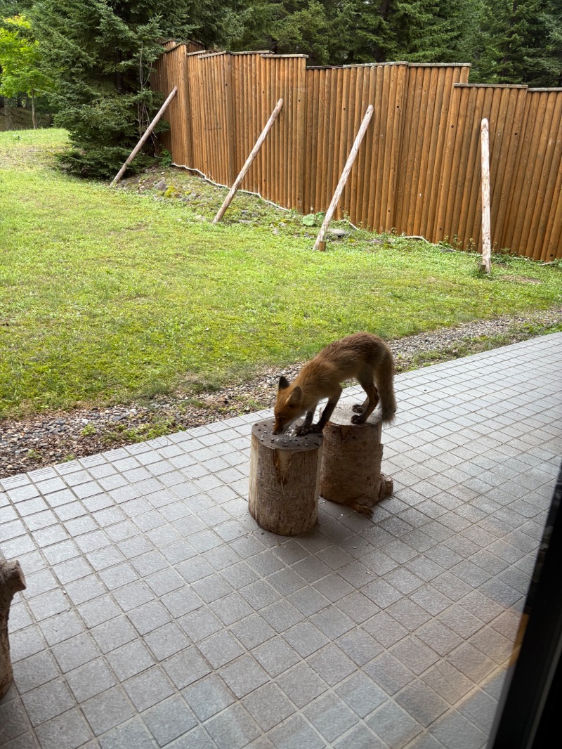まさぞーさんの奥屈斜路温泉ランプの宿森つべつのサ活写真