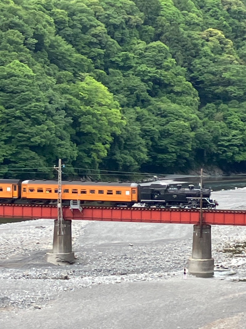 はちさんの大井川鐵道 川根温泉ホテルのサ活写真