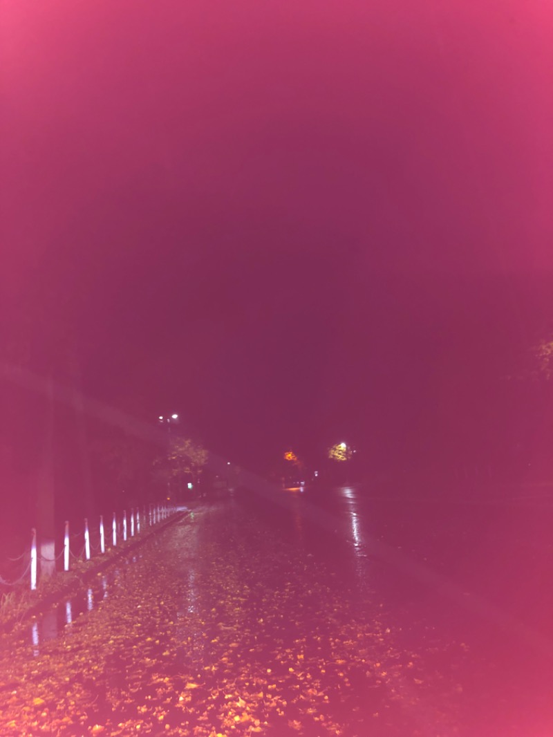 tacchy 魔都サッポロがスキすぎるさんのていね温泉ほのかのサ活写真