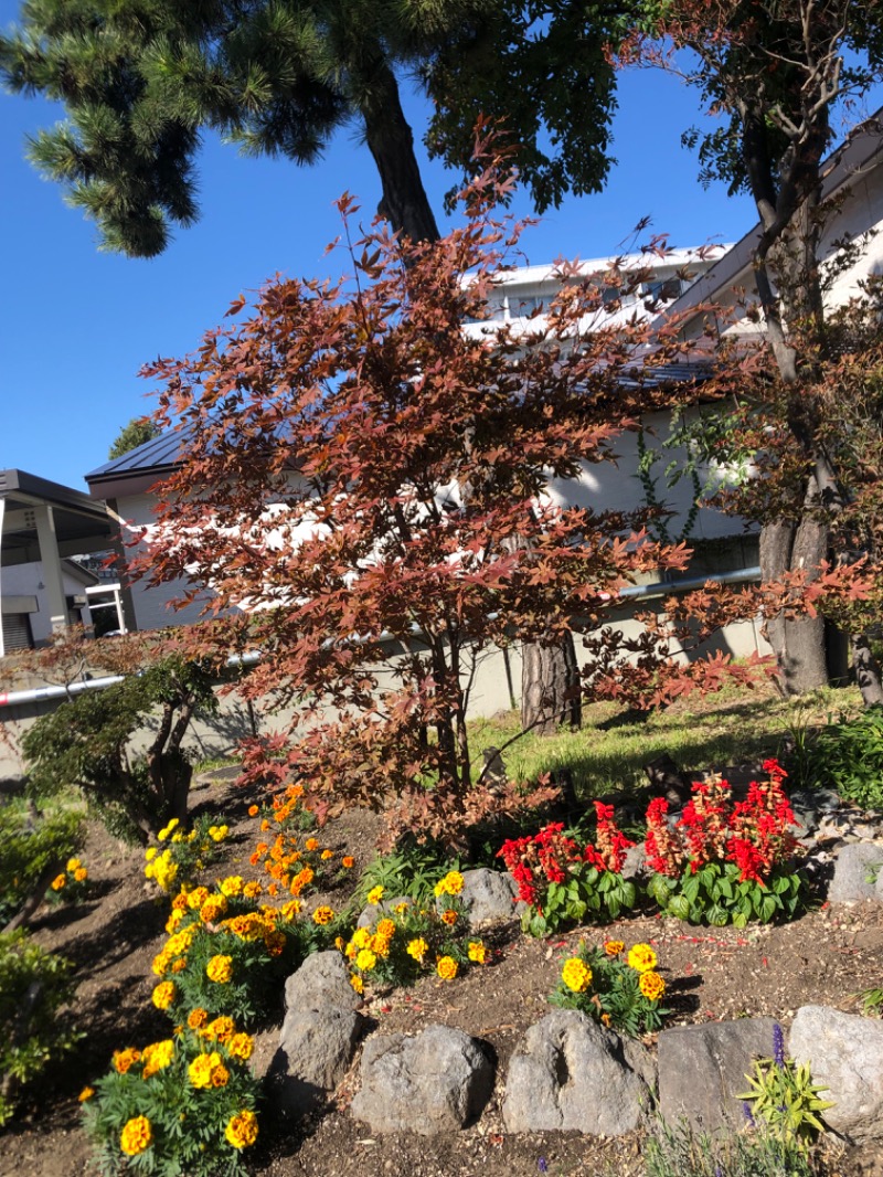 tacchy 魔都サッポロがスキすぎるさんの湯の郷 絢ほのかのサ活写真