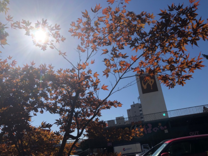 tacchy 魔都サッポロがスキすぎるさんの湯の郷 絢ほのかのサ活写真