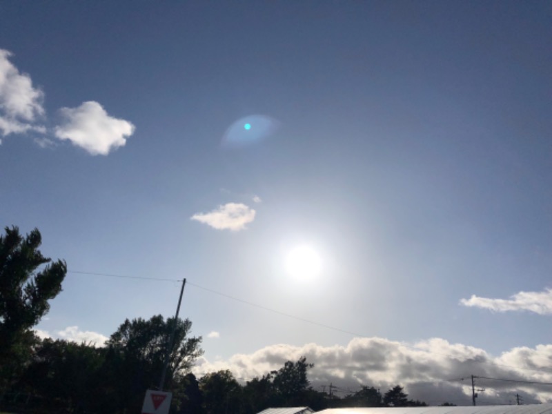 tacchy 魔都サッポロがスキすぎるさんの月見湯のサ活写真