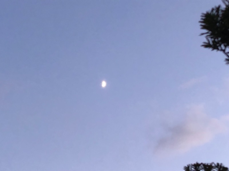 tacchy 魔都サッポロがスキすぎるさんの月見湯のサ活写真