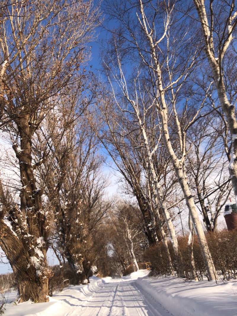 tacchy 魔都サッポロがスキすぎるさんの月見湯のサ活写真