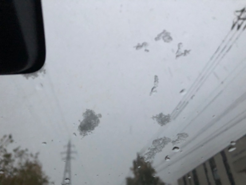 tacchy 魔都サッポロがスキすぎるさんのスポーツアカデミー ブランチ 札幌月寒のサ活写真