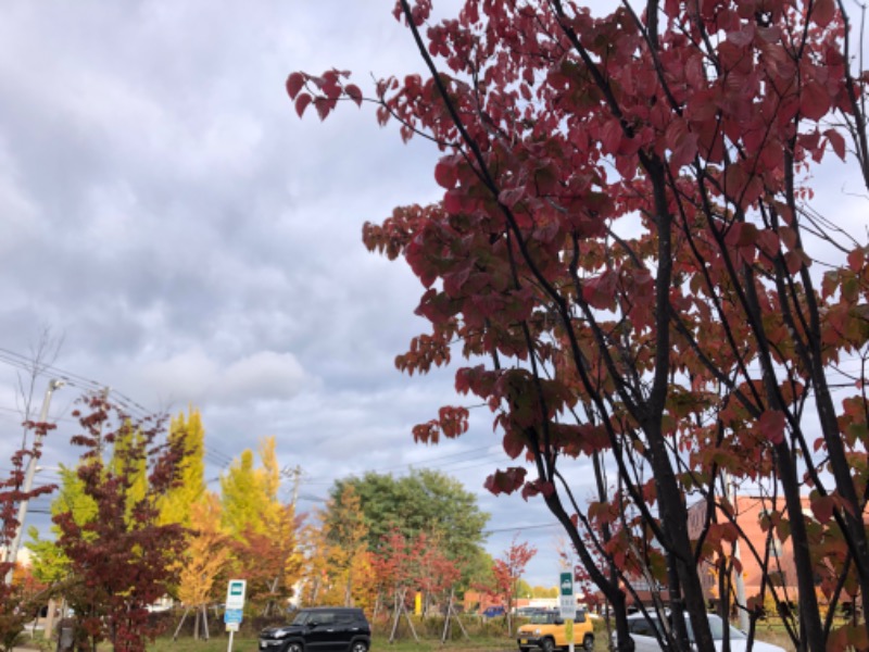 tacchy 魔都サッポロがスキすぎるさんのスポーツアカデミー ブランチ 札幌月寒のサ活写真