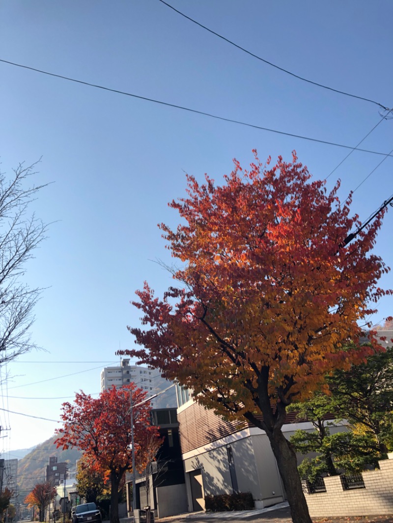 tacchy 魔都サッポロがスキすぎるさんのスポーツアカデミー ブランチ 札幌月寒のサ活写真