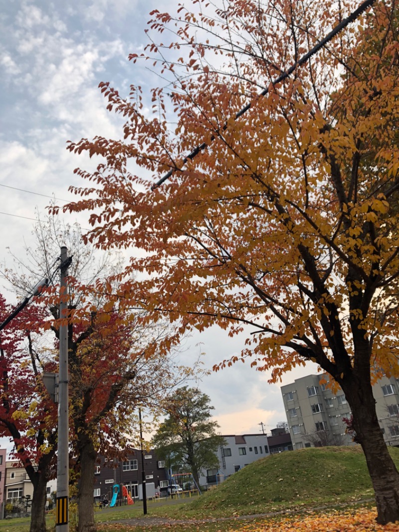 tacchy 魔都サッポロがスキすぎるさんのスポーツアカデミー ブランチ 札幌月寒のサ活写真