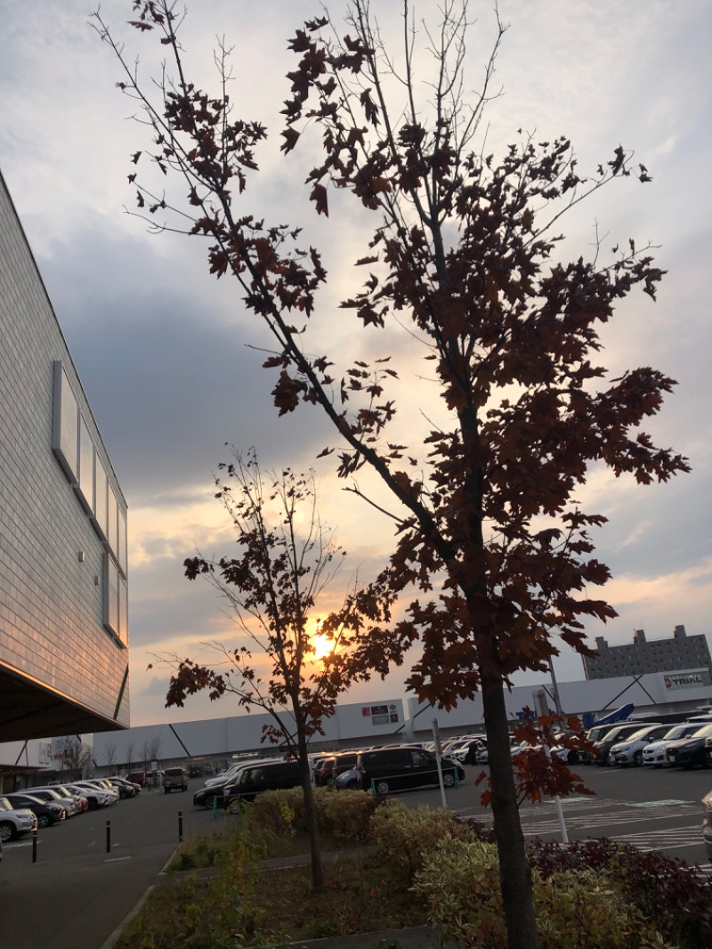 tacchy 魔都サッポロがスキすぎるさんのスポーツアカデミー ブランチ 札幌月寒のサ活写真