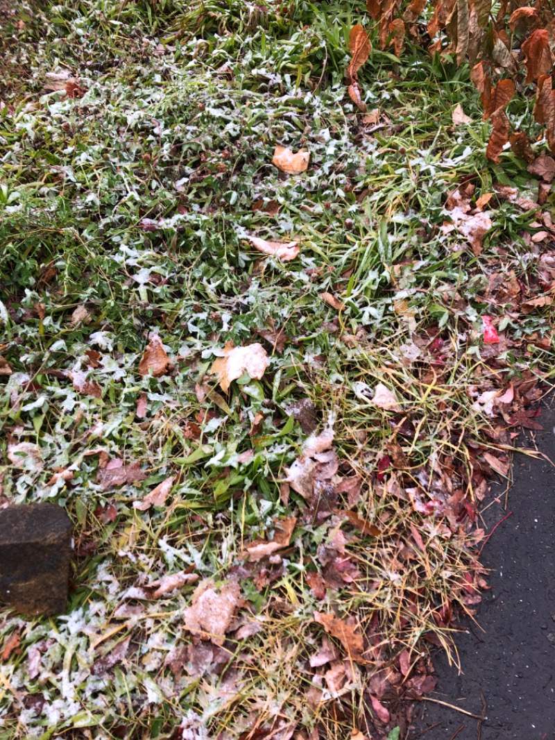 tacchy 魔都サッポロがスキすぎるさんのスポーツアカデミー ブランチ 札幌月寒のサ活写真