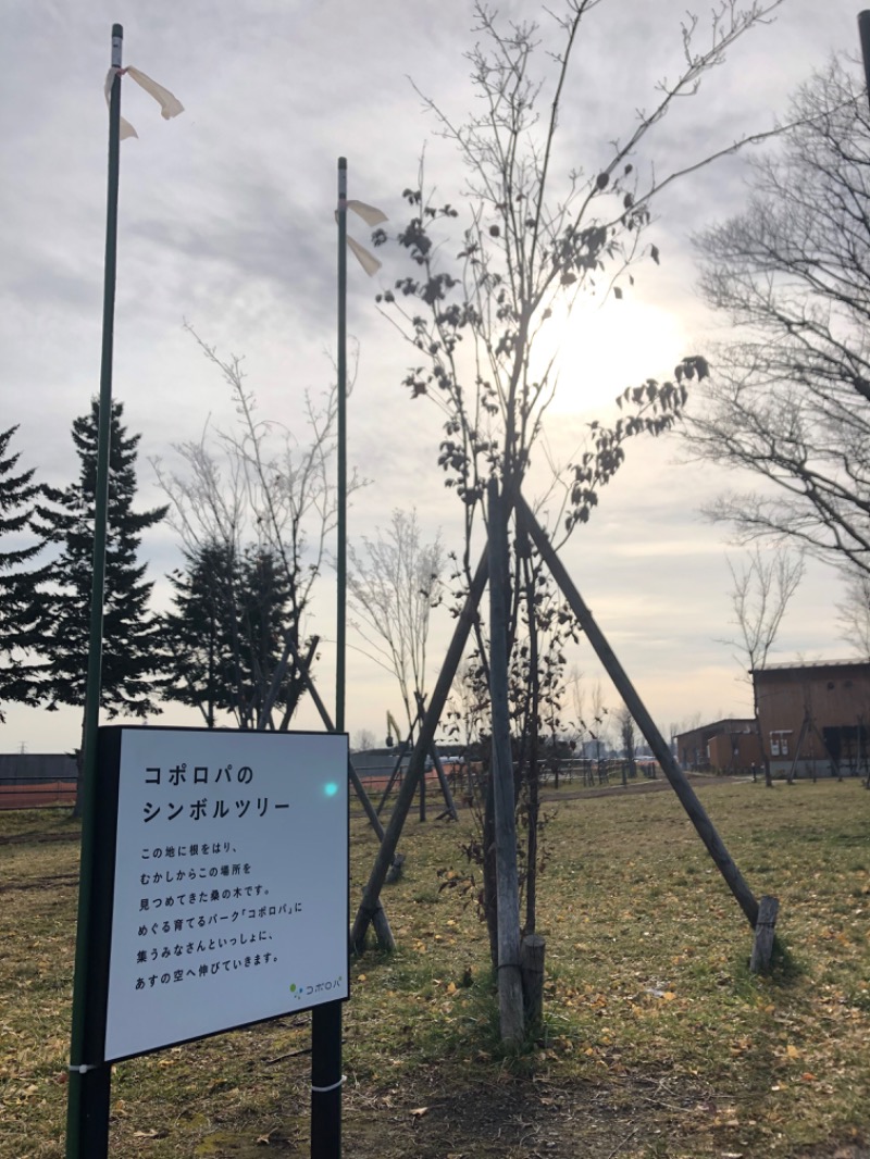 tacchy 魔都サッポロがスキすぎるさんのスポーツアカデミー ブランチ 札幌月寒のサ活写真