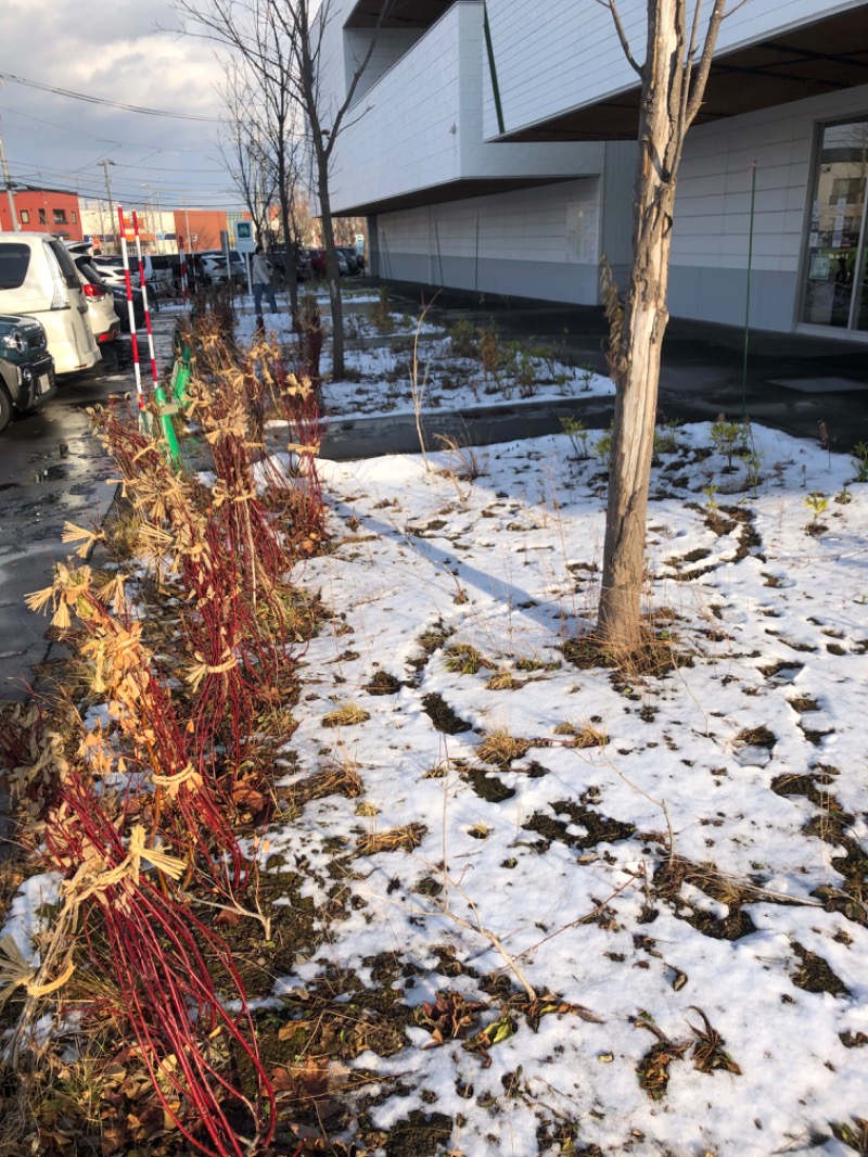 tacchy 魔都サッポロがスキすぎるさんのスポーツアカデミー ブランチ 札幌月寒のサ活写真