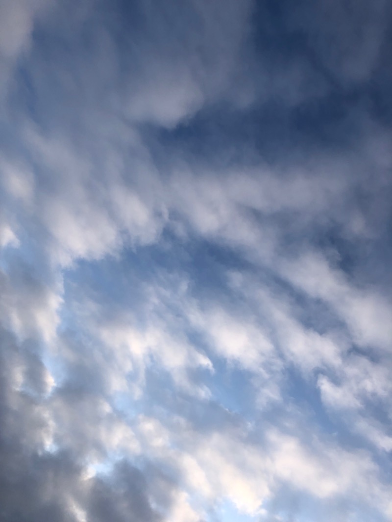 tacchy 魔都サッポロがスキすぎるさんのスポーツアカデミー ブランチ 札幌月寒のサ活写真