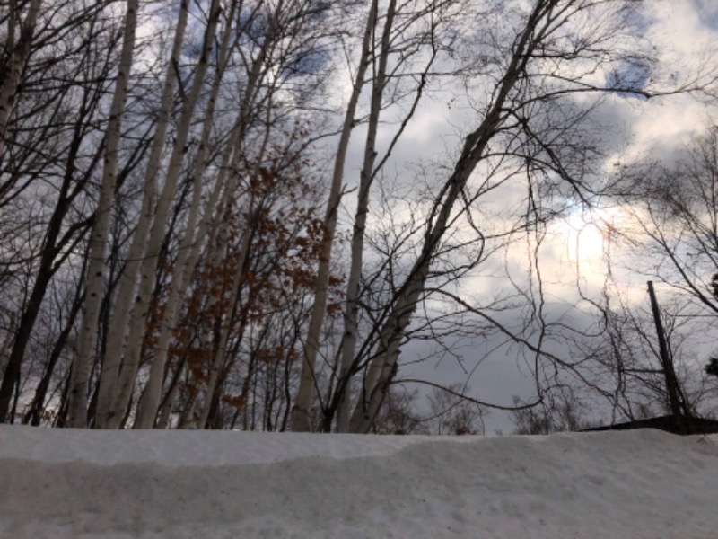 tacchy 魔都サッポロがスキすぎるさんのスポーツアカデミー ブランチ 札幌月寒のサ活写真
