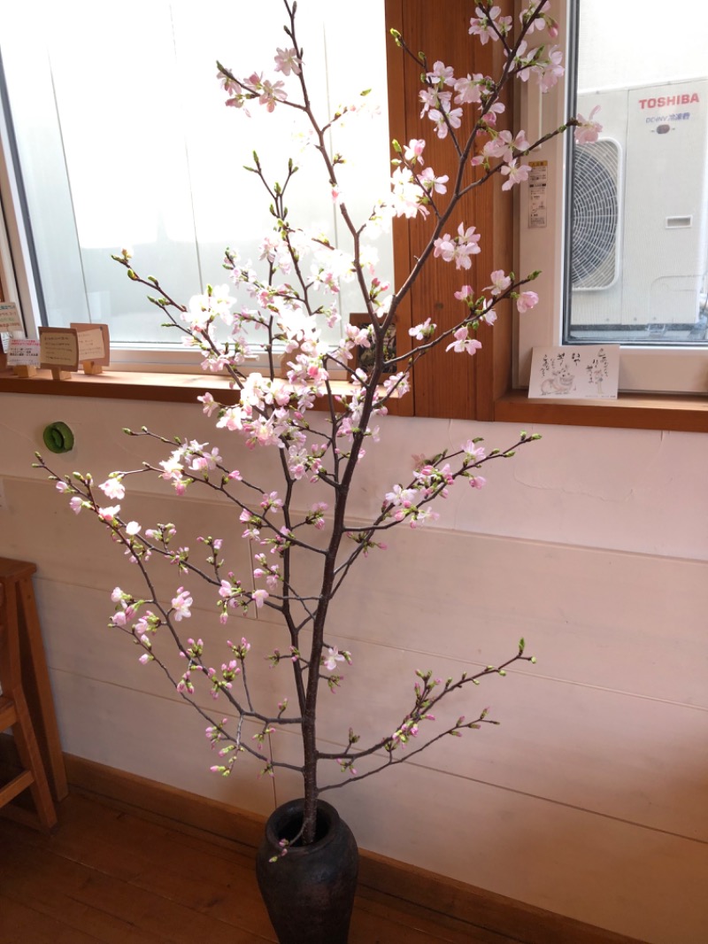 tacchy 魔都サッポロがスキすぎるさんのスポーツアカデミー ブランチ 札幌月寒のサ活写真