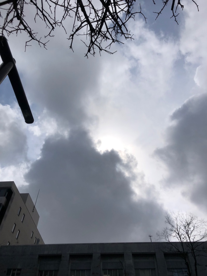 tacchy 魔都サッポロがスキすぎるさんのザ・センチュリオンサウナレスト&ステイ札幌のサ活写真