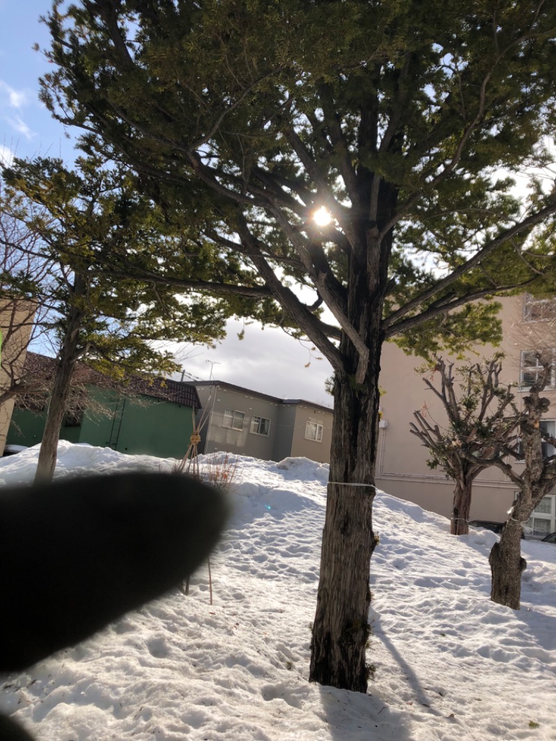 tacchy 魔都サッポロがスキすぎるさんのスポーツクラブ&サウナスパ ルネサンス 札幌平岸24のサ活写真