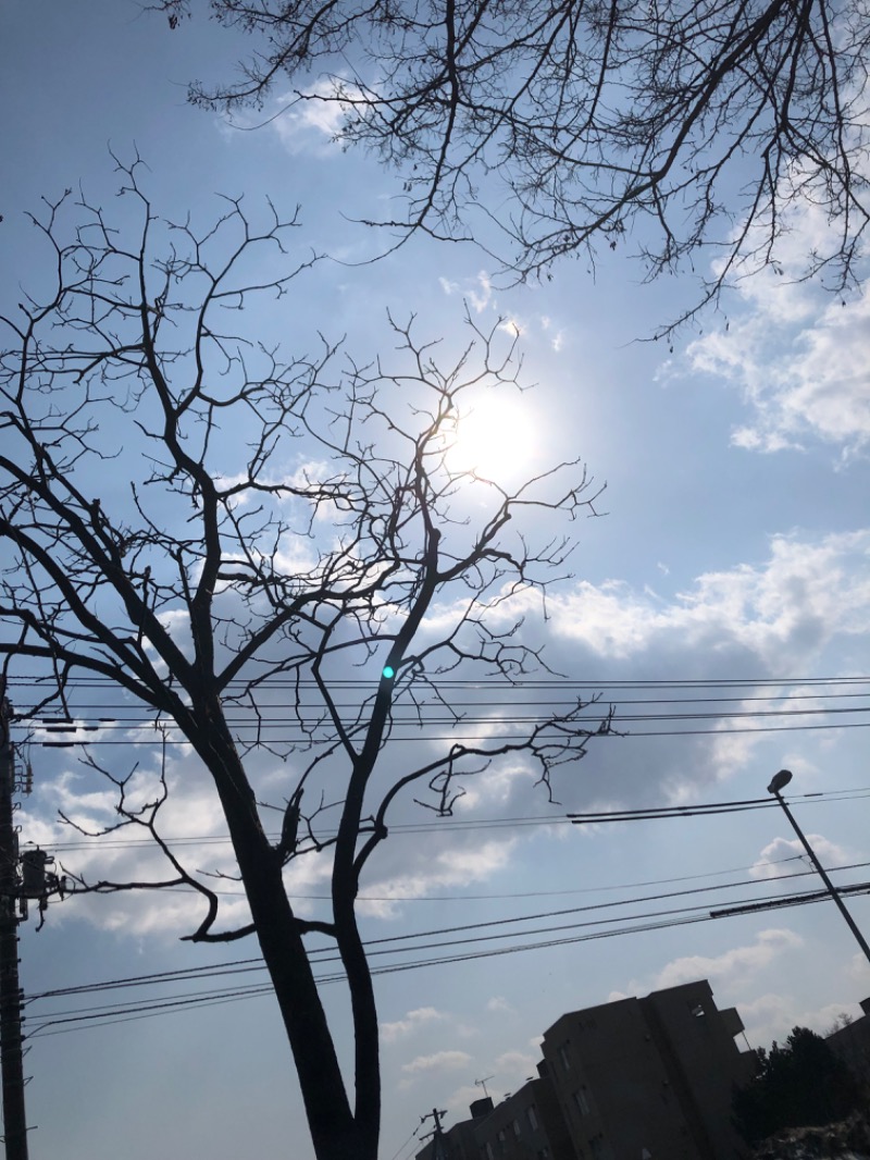 tacchy 魔都サッポロがスキすぎるさんのスポーツクラブ&サウナスパ ルネサンス 札幌平岸24のサ活写真