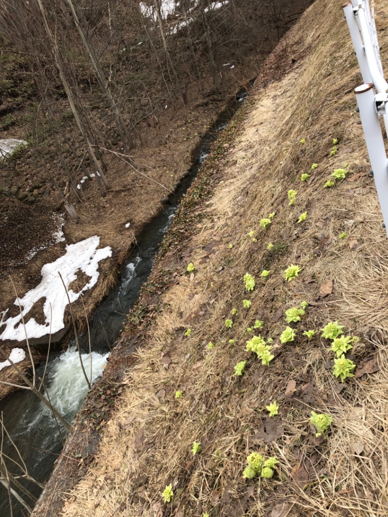 tacchy 魔都サッポロがスキすぎるさんのスポーツクラブ&サウナスパ ルネサンス 札幌平岸24のサ活写真