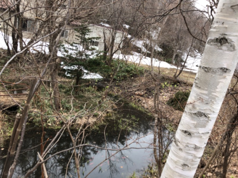 tacchy 魔都サッポロがスキすぎるさんのスポーツクラブ&サウナスパ ルネサンス 札幌平岸24のサ活写真