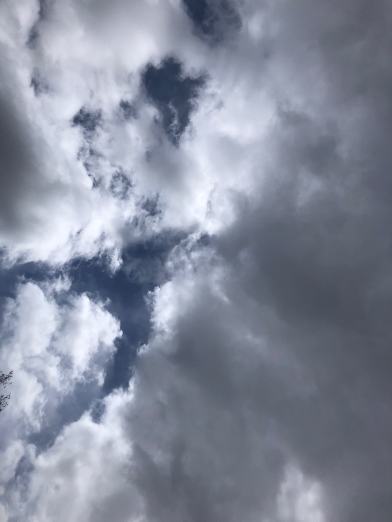 tacchy 魔都サッポロがスキすぎるさんのスポーツクラブ&サウナスパ ルネサンス 札幌平岸24のサ活写真