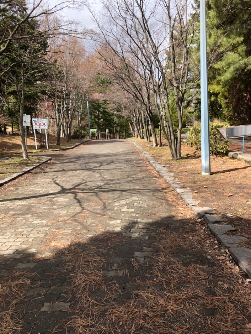 tacchy 魔都サッポロがスキすぎるさんのスポーツクラブ&サウナスパ ルネサンス 札幌平岸24のサ活写真