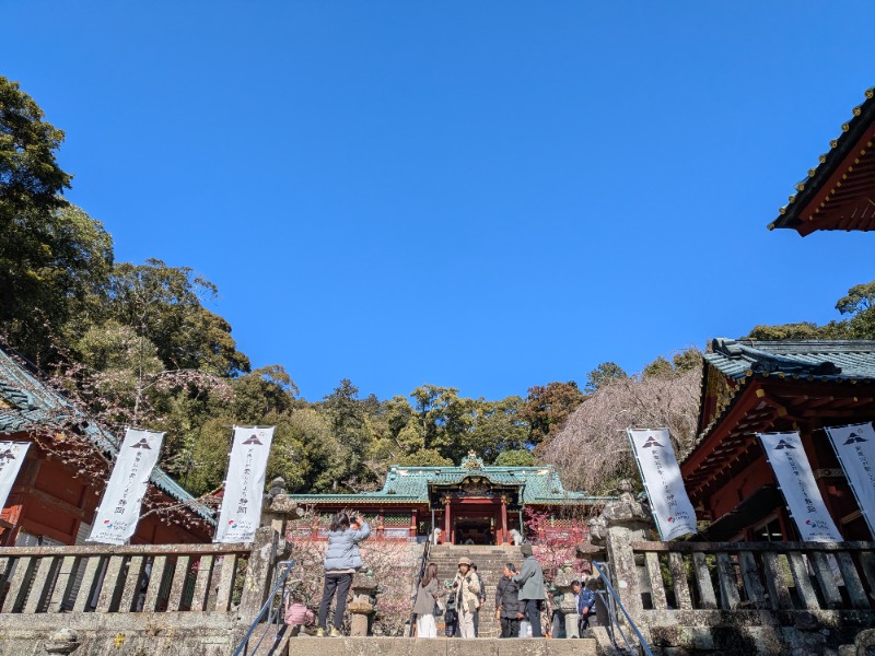 元橋 あきひろさんの駿河健康ランドのサ活写真