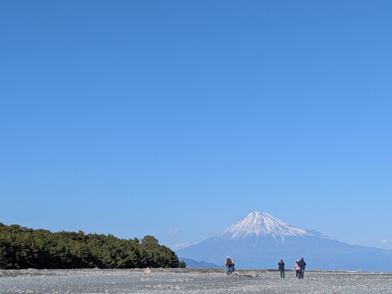 元橋 あきひろさんの駿河健康ランドのサ活写真