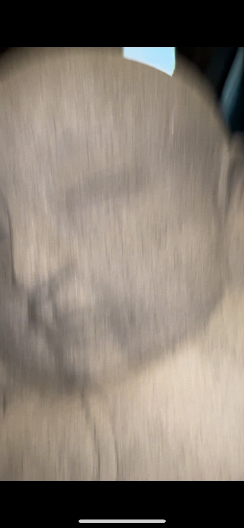 カピ野郎(5人の中で1番マシ？)さんの岩見沢温泉なごみのサ活写真