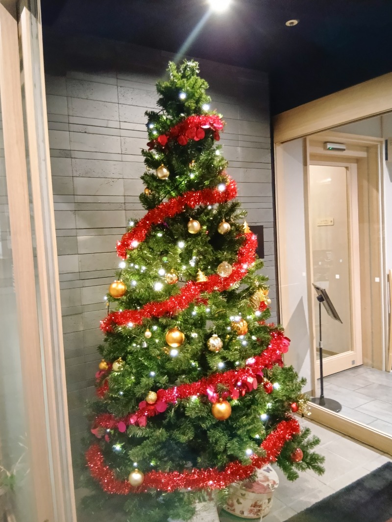 あおくまさんの亀島川温泉 新川の湯 ドーミーイン東京八丁堀のサ活写真