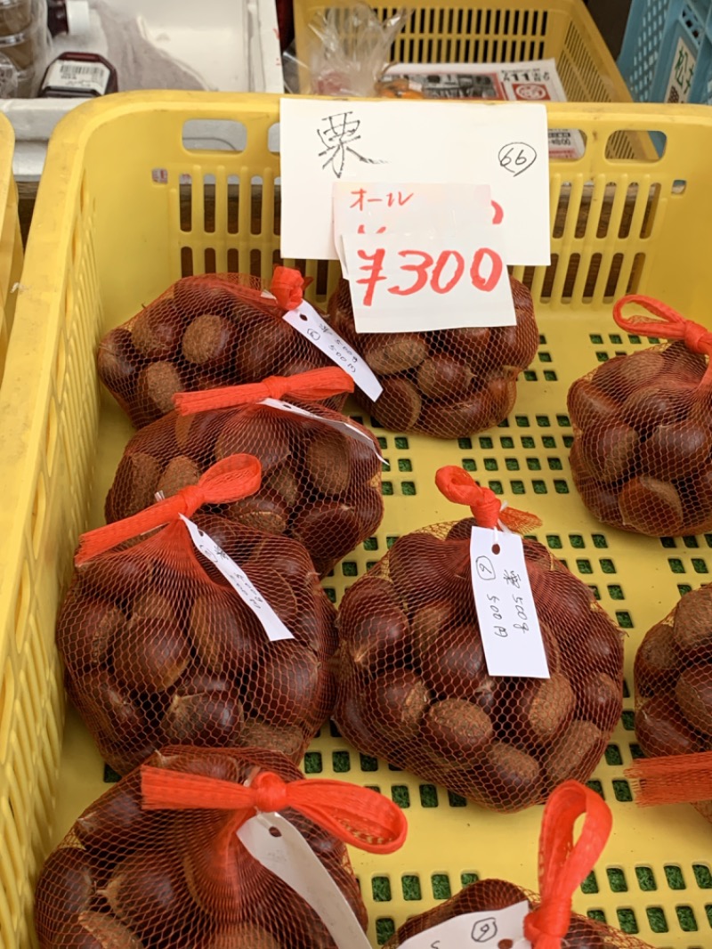 サウナッパさんの天然温泉 本宮の湯のサ活写真