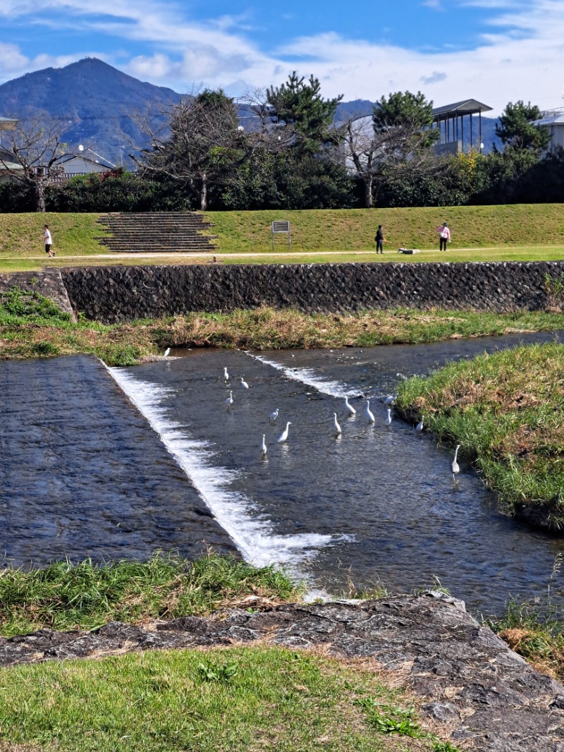 shimitaka7さんの鴨川湯のサ活写真