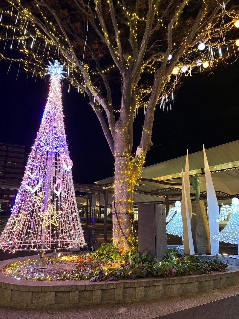 サウナーさんのいつつばしの里 (岩国国際観光ホテル)のサ活写真