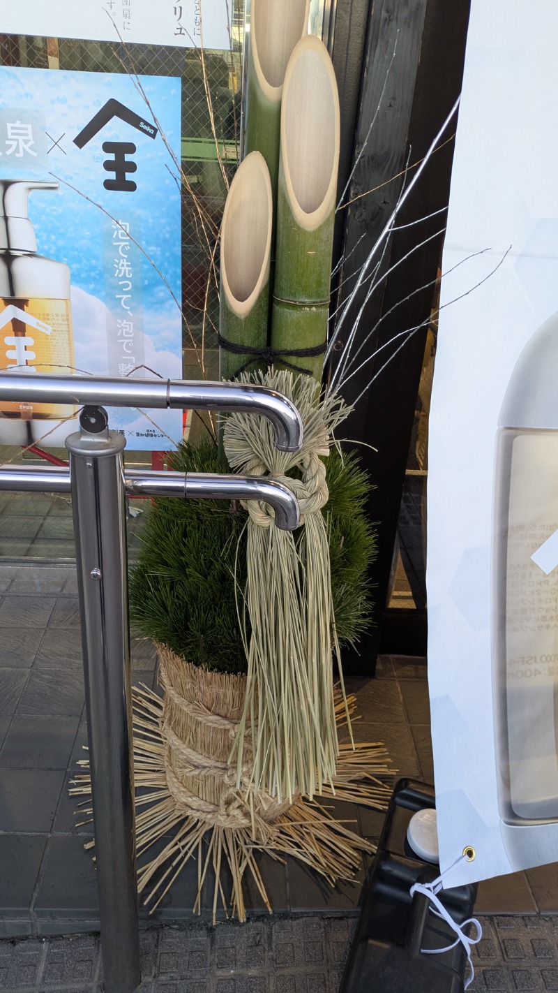 つのつのさんの湯乃泉 草加健康センターのサ活写真