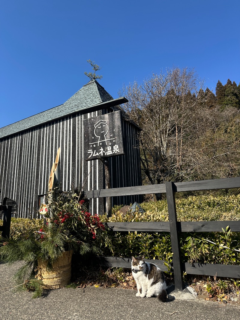 ゆうあん@す🌿さんのラムネ温泉館のサ活写真