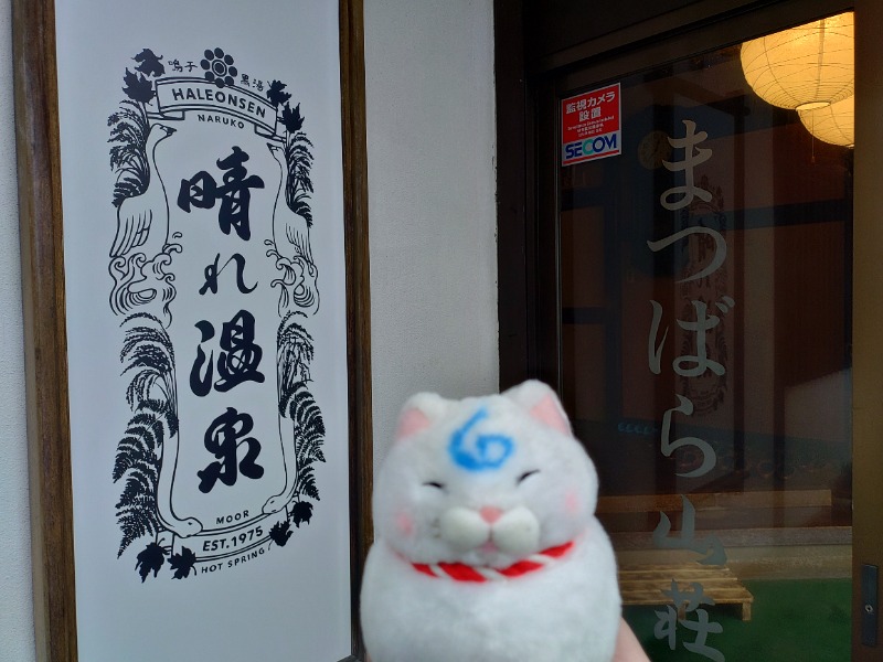 ゆき(･x･)えるさんの晴れ温泉のサ活写真