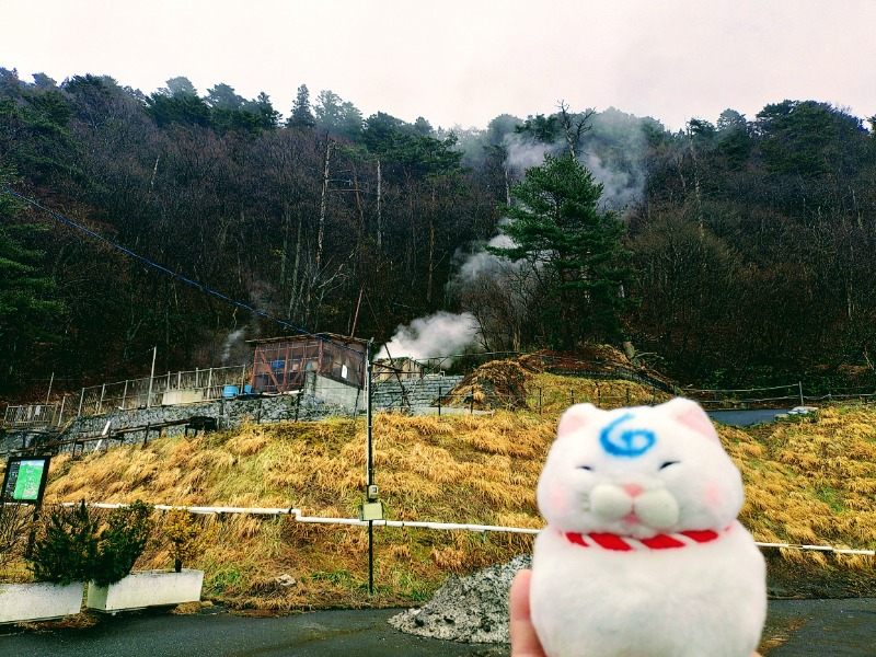 ゆき(･x･)えるさんの晴れ温泉のサ活写真